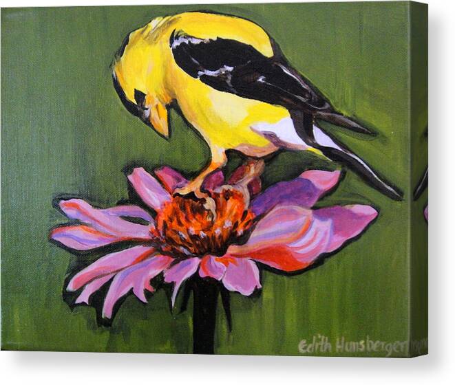 Goldfinch Canvas Print featuring the painting Seeking Seeds by Edith Hunsberger