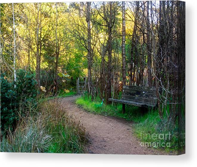 Kate Brown Canvas Print featuring the photograph Shady Dell by Kate Brown