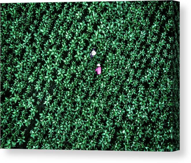 Aerial Canvas Print featuring the photograph Sheer Purity by Zhou Chengzhou