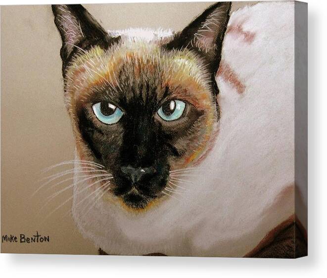 Siamese Cat Canvas Print featuring the pastel Siamese by Mike Benton