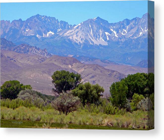 Sierra Canvas Print featuring the photograph Sierra Nevada Vista by Frank Wilson
