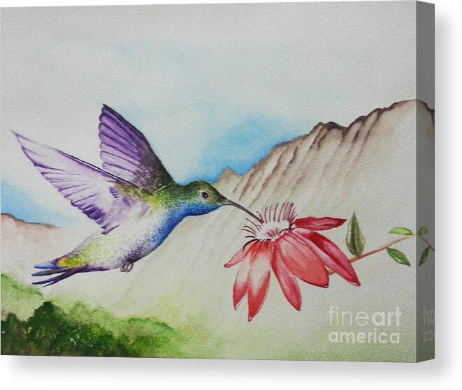Hummingbird Canvas Print featuring the painting Sipping Sweet Original by Jerome Wilson