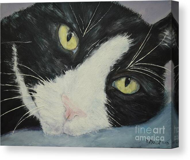 Portrait Of Sissi Cat Canvas Print featuring the painting Sissi the Cat 1 by Raija Merila