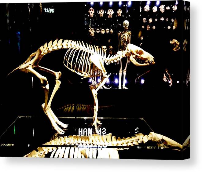Iphoneography Canvas Print featuring the photograph Skeleton 340 by Angela Seager
