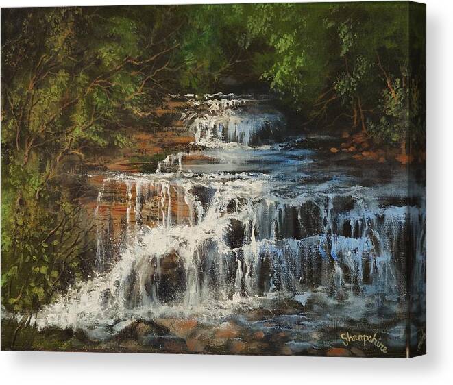 Skillet Creek Falls Canvas Print featuring the painting Skillet Creek Falls Wisconsin by Tom Shropshire