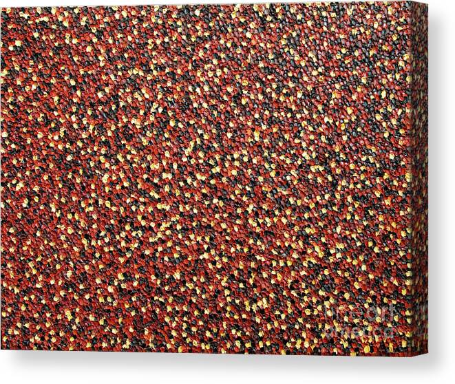 Abstract Canvas Print featuring the painting Soft Brown with Black by Dean Triolo