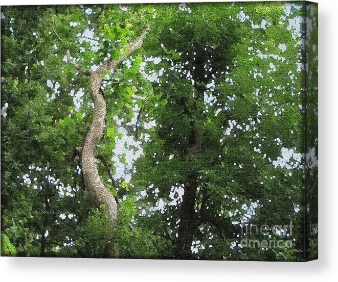Kathie Chicoine Canvas Print featuring the photograph Spiraling Upward by Kathie Chicoine