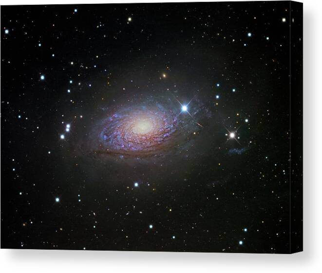 Messier 63 Canvas Print featuring the photograph Sunflower Galaxy (m63) by Robert Gendler/science Photo Library