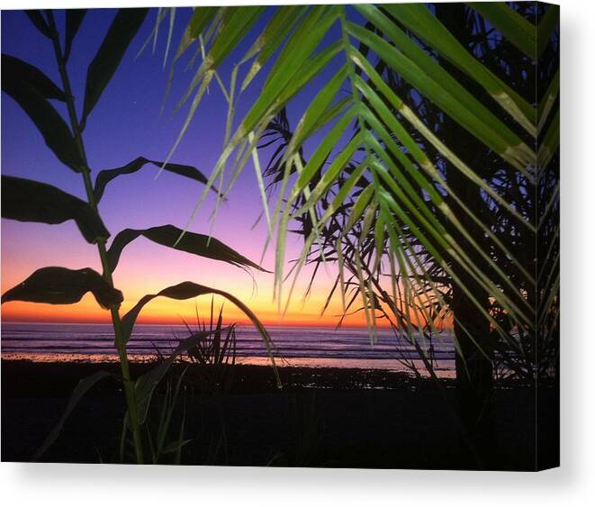 Sunset Canvas Print featuring the photograph Sunset at Sano Onofre by Paul Carter