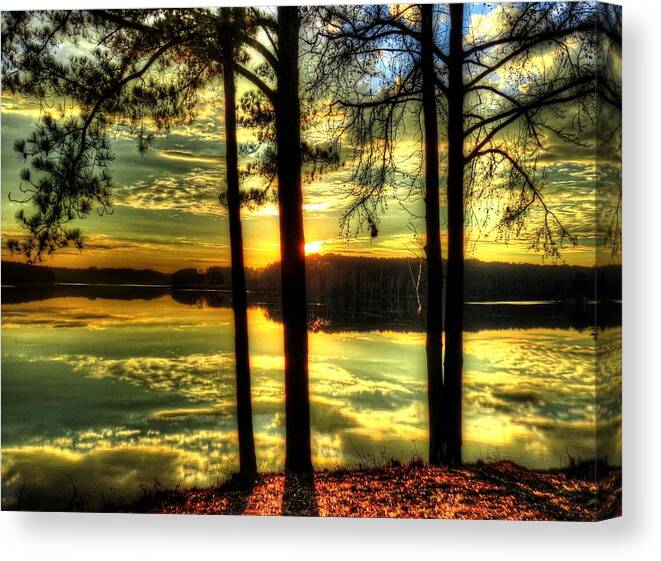 Lake Canvas Print featuring the digital art Surreal Lake by Kathleen Illes