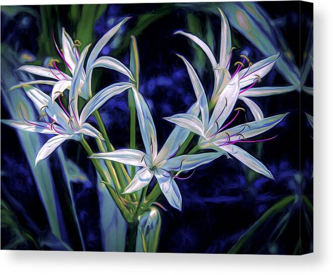 Lily Canvas Print featuring the photograph Swamp Lilies by Steven Sparks