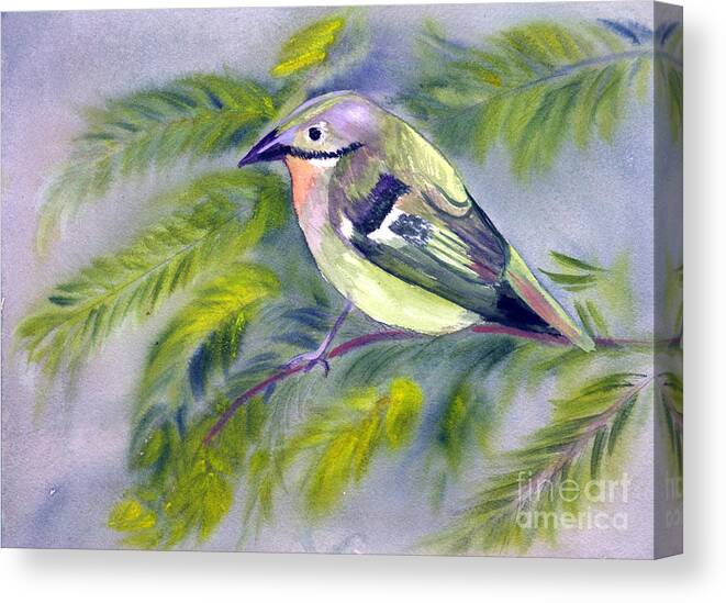 Animal Canvas Print featuring the painting Tenerife Goldcrest by Donna Walsh