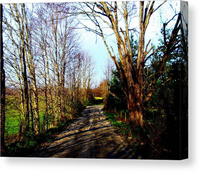  Road Less Traveled Canvas Print featuring the photograph The Road Less Traveled by M Three Photos