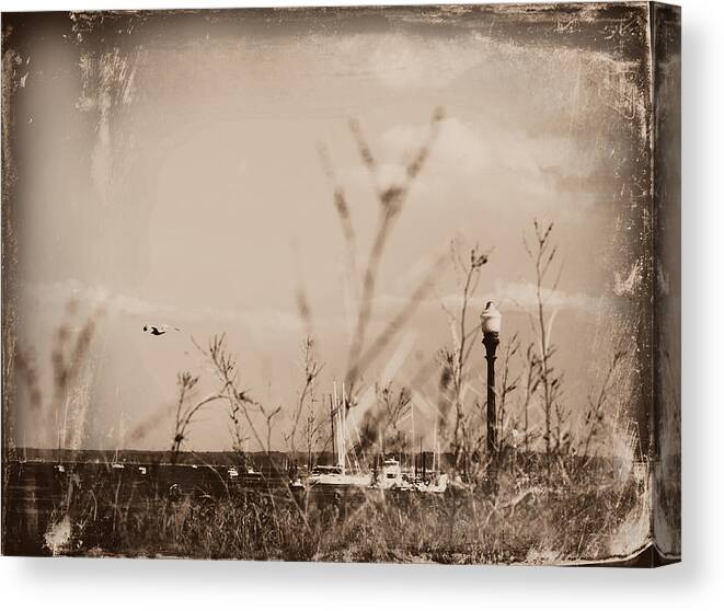 Summer Canvas Print featuring the photograph The Summer Wind II by Aurelio Zucco