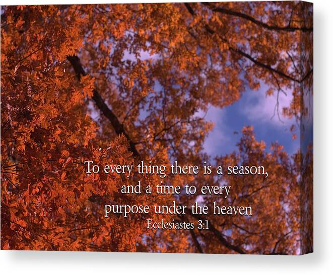 Autumn Leaves Canvas Print featuring the photograph There is a Season Ecclesiastes by Denise Beverly