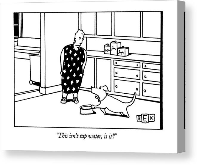 (dog Complaining To Woman About Water In Its Bowl) Canvas Print featuring the drawing This Isn't Tap Water by Bruce Eric Kaplan