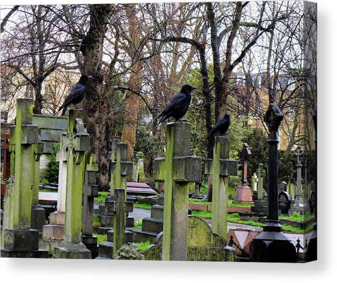 Brompton Cemetery Canvas Print featuring the photograph Three Ravens by Gia Marie Houck