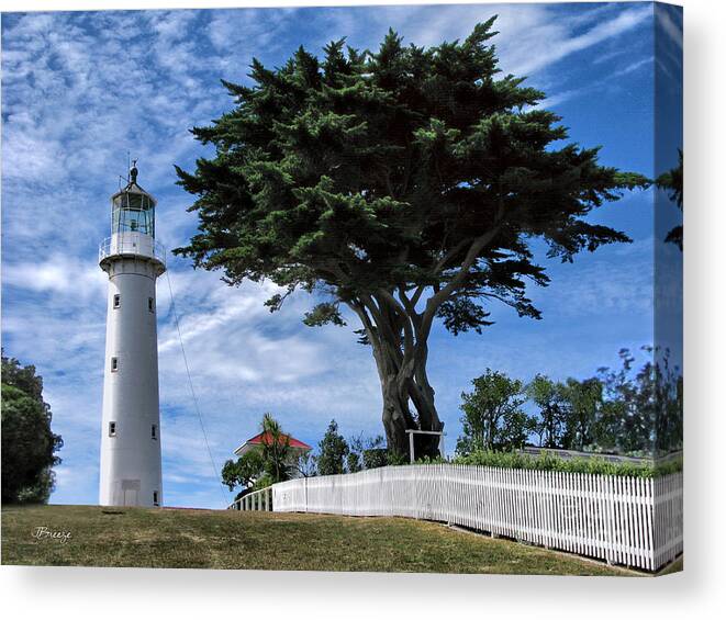 Tiritiri Matangi Canvas Print featuring the photograph Tiritiri Matangi Lighthouse .NZ by Jennie Breeze