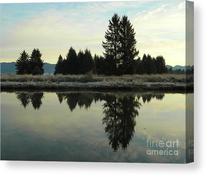 Nature Canvas Print featuring the photograph Tree Reflections A by Gallery Of Hope 