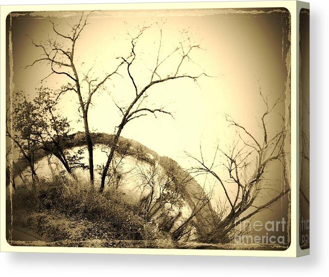 Trees Canvas Print featuring the photograph Trees and the Curve of the Earth by Garren Zanker