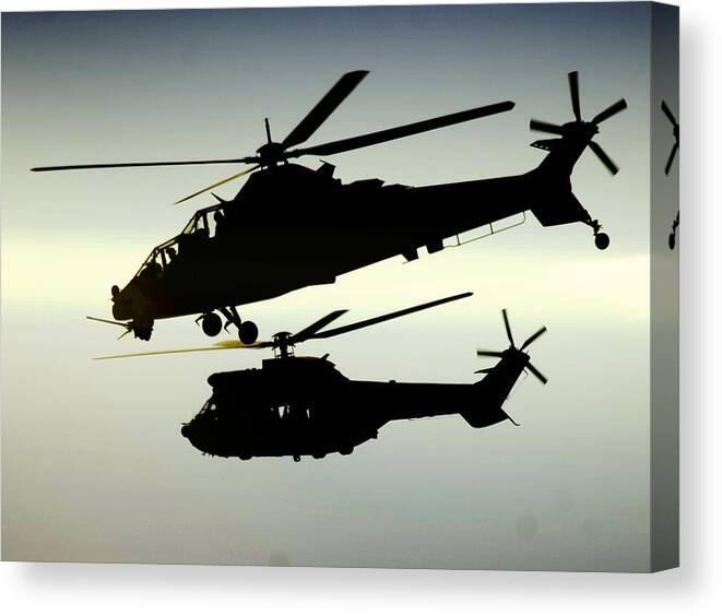 Atlas Oryx Canvas Print featuring the photograph Twin Silhouette by Paul Job