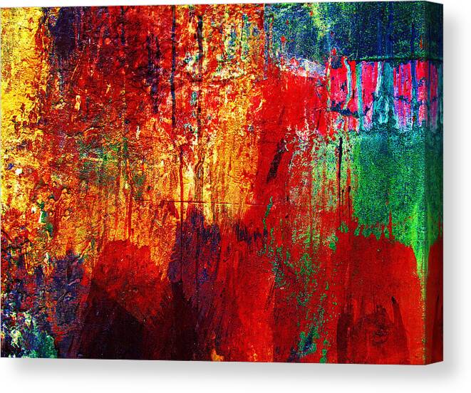 Colorful Canvas Print featuring the photograph Untamed Colors by Prakash Ghai