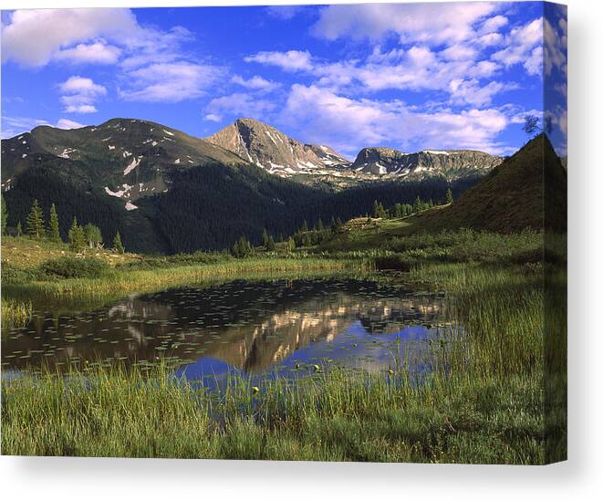 Feb0514 Canvas Print featuring the photograph West Needle Mountains Weminuche by Tim Fitzharris