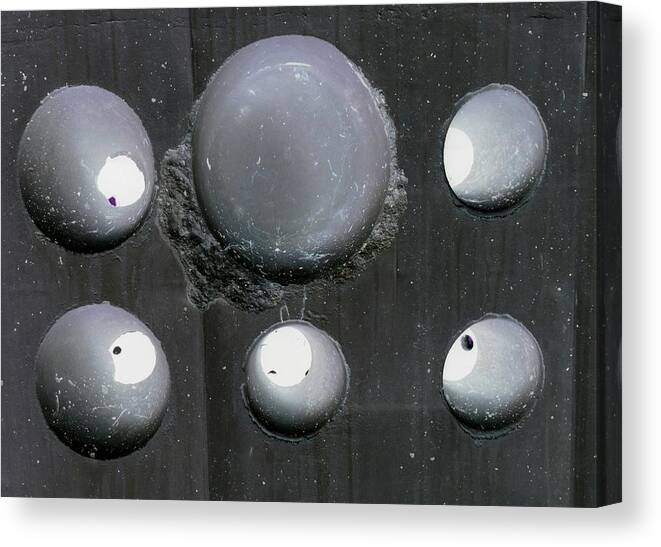 Hole Canvas Print featuring the photograph Wholly Holes 3 by Marlene Burns