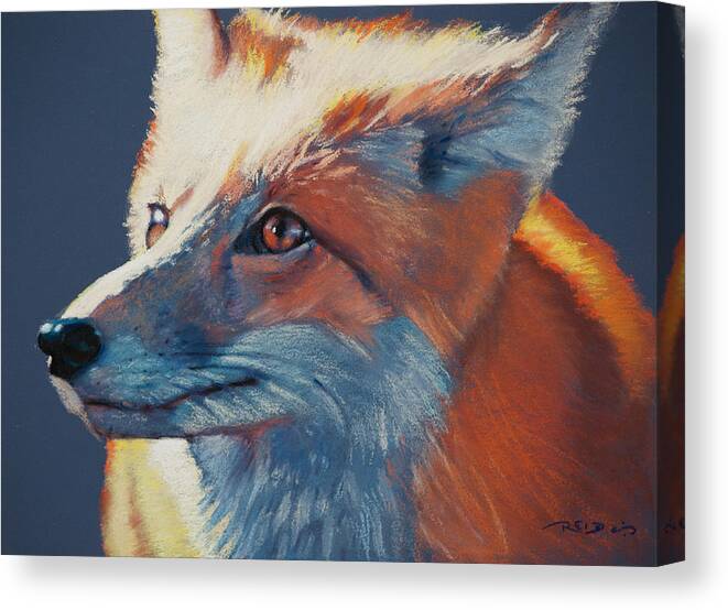 America Canvas Print featuring the pastel Wilbur Fox by Christopher Reid
