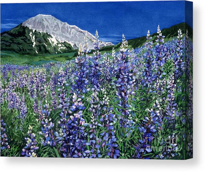 Rocky Mountain Biological Laboratory Canvas Print featuring the painting Wild Lupine by Barbara Jewell