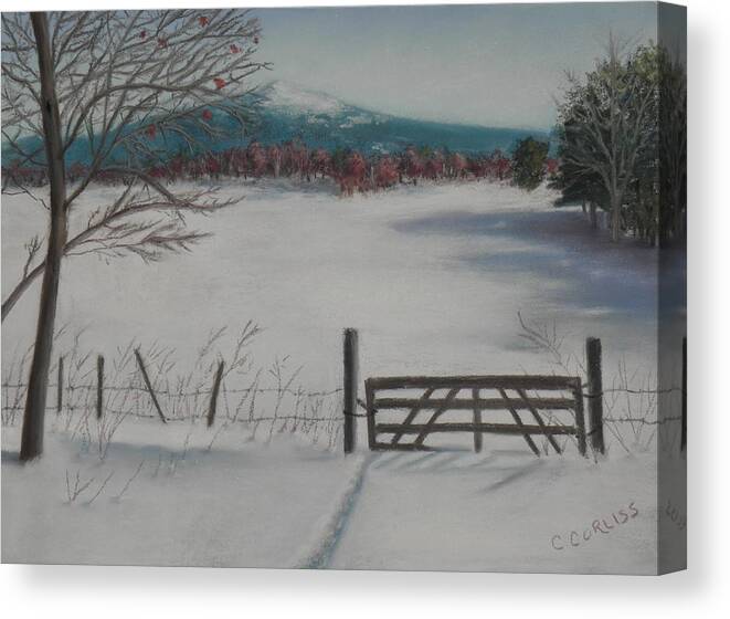 Winter Canvas Print featuring the pastel Winter Field by Carol Corliss
