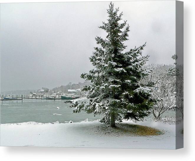 Plymouth Ma Canvas Print featuring the photograph Winter harbor scene by Janice Drew