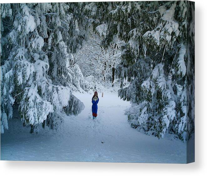 Winter Canvas Print featuring the photograph Winter Wonderland by Richard Brookes