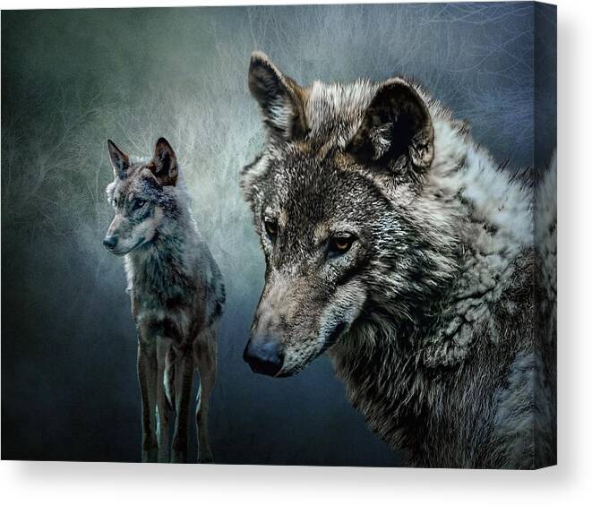  Canvas Print featuring the photograph Wolves in moonlight by Brian Tarr