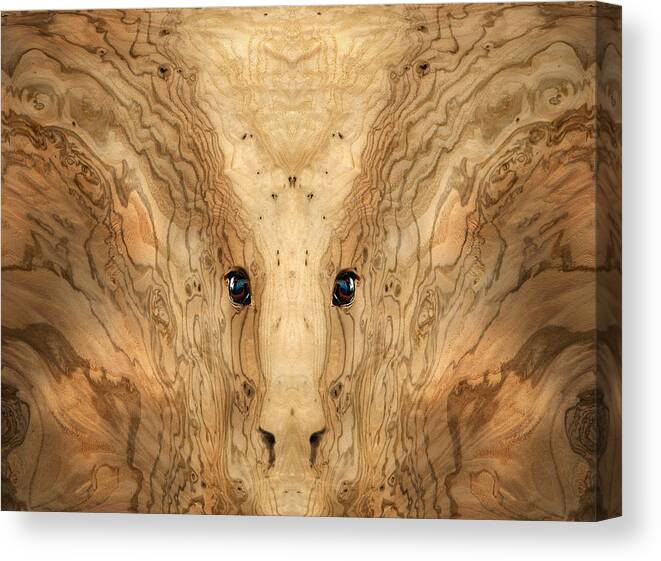 Wood Canvas Print featuring the photograph Woody 38 by Rick Mosher