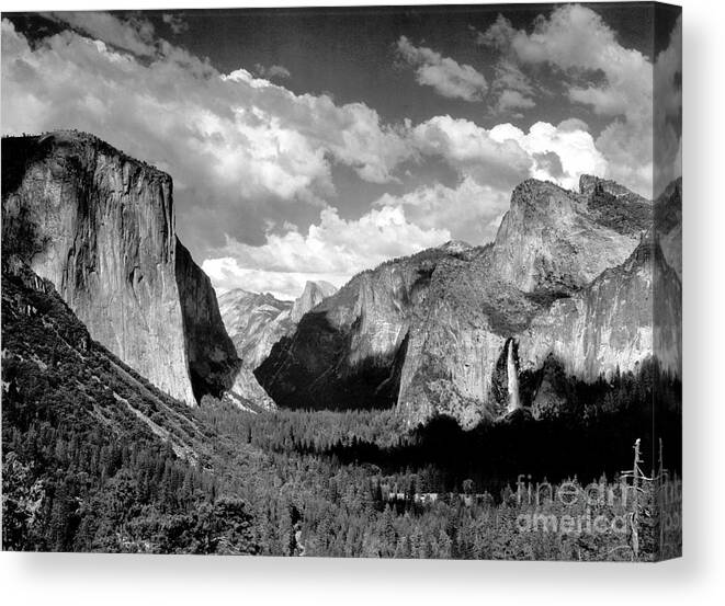  Canvas Print featuring the photograph Yosemite Valley 1935 by Ansel Adams
