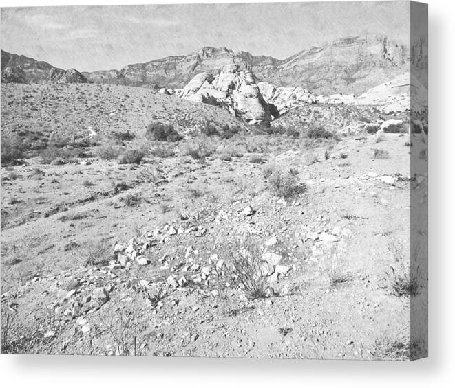 Pencil Canvas Print featuring the photograph Desert Washout #1 by Frank Wilson