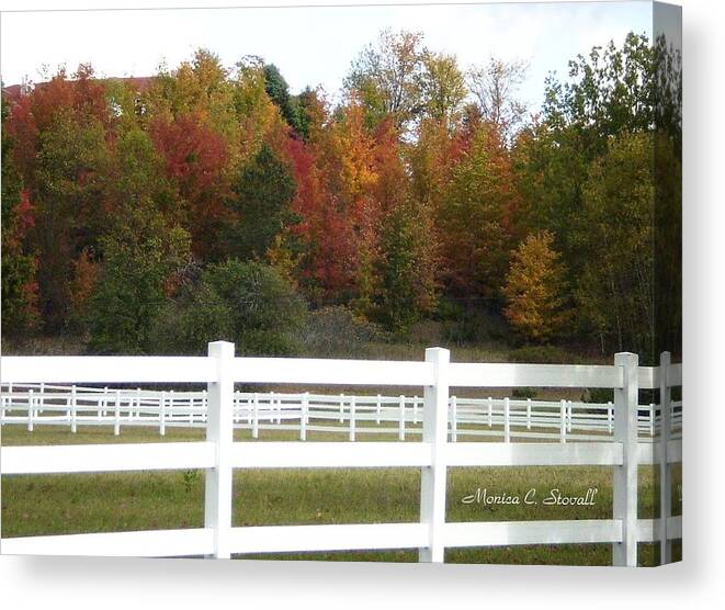  Canvas Print featuring the photograph Fall Colors Collection - Michigan #1 by Monica C Stovall