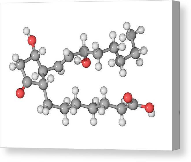 Prostaglandin E1 Canvas Print featuring the photograph Prostaglandin E1 Molecule #1 by Laguna Design