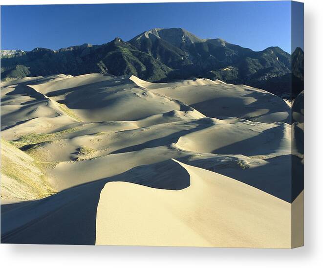 00174899 Canvas Print featuring the photograph Sangre De Cristo Mountains At Great #2 by Tim Fitzharris