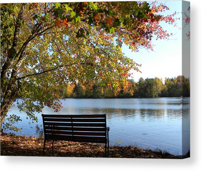 Bench.seat Canvas Print featuring the photograph A Place For Thanks Giving by Sandi OReilly