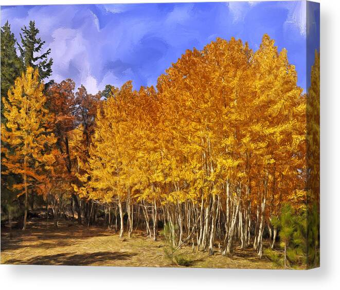Aspen Trees Canvas Print featuring the painting Aspen Trees in Autumn by Dominic Piperata
