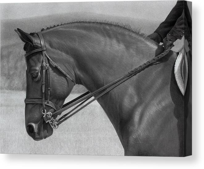 Graphite Drawing Canvas Print featuring the drawing Athos by Tim Dangaran