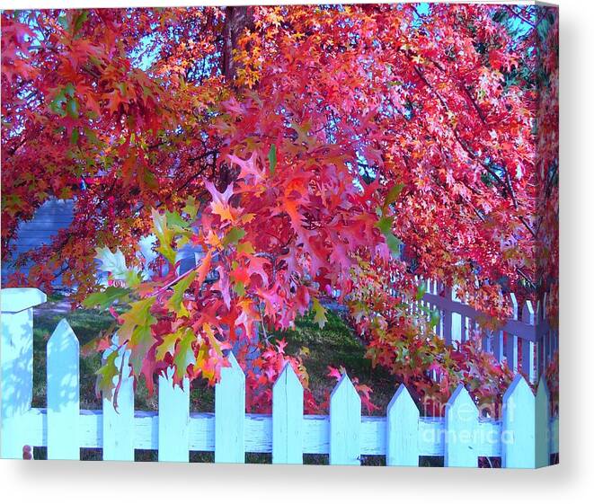 Oak Canvas Print featuring the photograph Autumn Glory by Ann Johndro-Collins