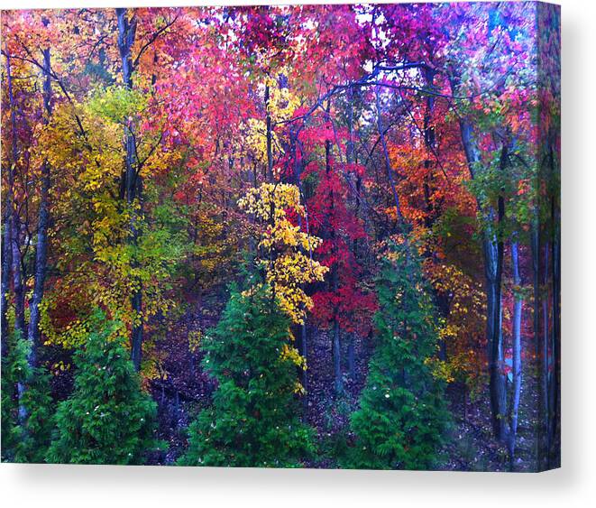 Autumn Canvas Print featuring the photograph Autumn in Virginia by Nabila Khanam