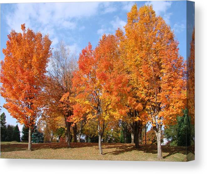 Autumn Canvas Print featuring the photograph Autumn Leaves by Athena Mckinzie