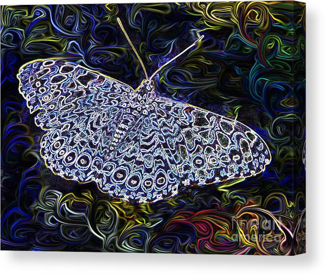 Butterfly Canvas Print featuring the photograph Blue Cracker by Louise Magno
