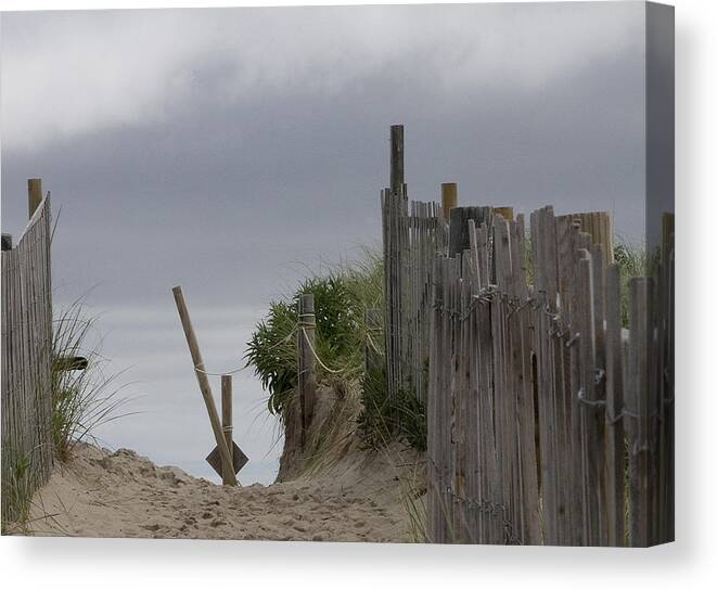 Landscape Canvas Print featuring the photograph Cloudy Morning by Michael Friedman