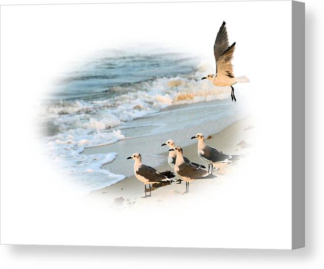 Out Of Bounds Canvas Print featuring the photograph Coming In for a Landing by Kristin Elmquist