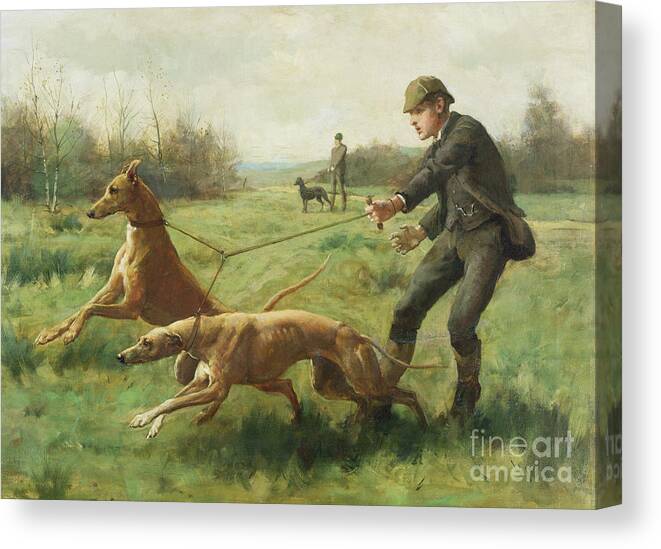 Exercising Greyhounds Canvas Print featuring the painting Exercising Greyhounds by George Kilburne